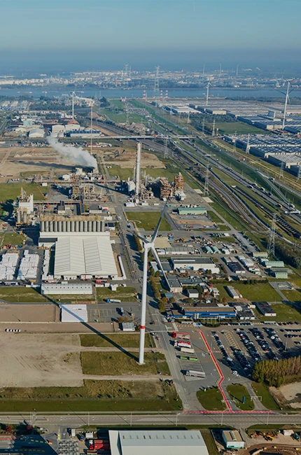 Portfolio Image